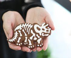 Wocuz 3 Dinosaur Bones Fossil Cookie Cutter/Stampers For Baby Shower Birthday Party N3