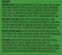 Wilton Holiday Gingerbread Cookie Kit 31 OZ N6