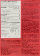 Wilton Holiday Gingerbread Cookie Kit 31 OZ N12