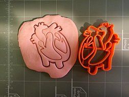 Heart Anatomy Cookie Cutter
