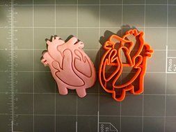 Heart Anatomy Cookie Cutter N2