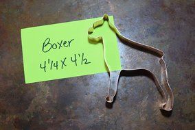 Boxer Cookie Cutter N2