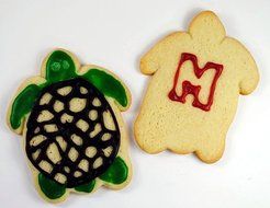 Sea Turtle Cookie Cutter N2