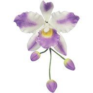 PME CO220 Metal Cutters Cattleya Orchid Flower, 3-Pack N2