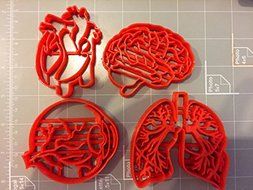 Human Tissue Anatomy Cookie Cutter (Set of 4) N2