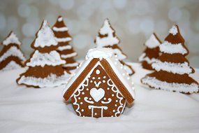 Mini Gingerbread House Cutter-Chalet N2