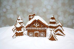 Small Gingerbread House Cutter N2
