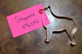 Schipperke Cookie Cutter N2