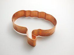 Rustic Pumpkin Thanksgiving Cookie Cutter N2