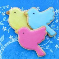 Twitter Bird Cookie Cutter- Stainless Steel N3