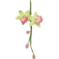 PME Sugarcraft Flower Cutter Set - Cymbidium Orchid - Medium N2