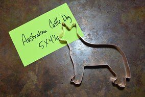 Australian Cattle Dog Cookie Cutter N2