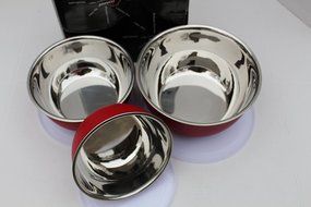 Stainless Steel 6-Piece Mixing Storing and Serving Bowl Set with Lids N3