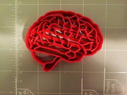 Brain Anatomy Cookie Cutter N2