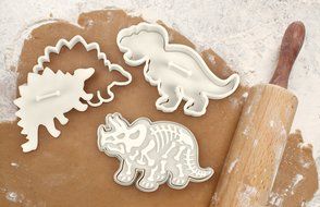 Astra shop Dinosaur Fossil Cookie Cutter/Stampers, Set of 3