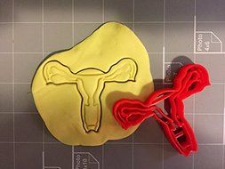 Female Anatomy Cookie Cutter