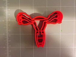 Female Anatomy Cookie Cutter N2