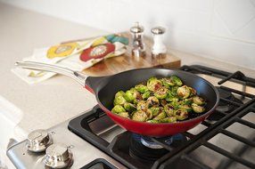 Nordic Ware Pro Cast Traditions Rectangle Baking Pan, 9 by 13-Inch, Cranberry N10