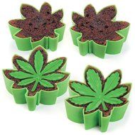 GAMAGO Bake-n-Serve Blundt Cake, Green