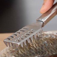 Generic Stainless Steel Fish Scraper Cleaner Removal Tools Home Kitchen Peeler N6