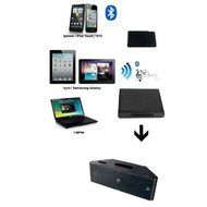 TOOGOO(R) Bluetooth A2DP Music Receiver for Apple iPad iPod iPhone 30-Pin Dock Speaker Station N3