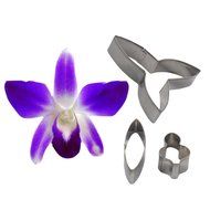 FOUR-C Baking Supplies Dendrobium Orchid Sugarcraft Cutter Set Fondant Flower for Cake Making Color Silver