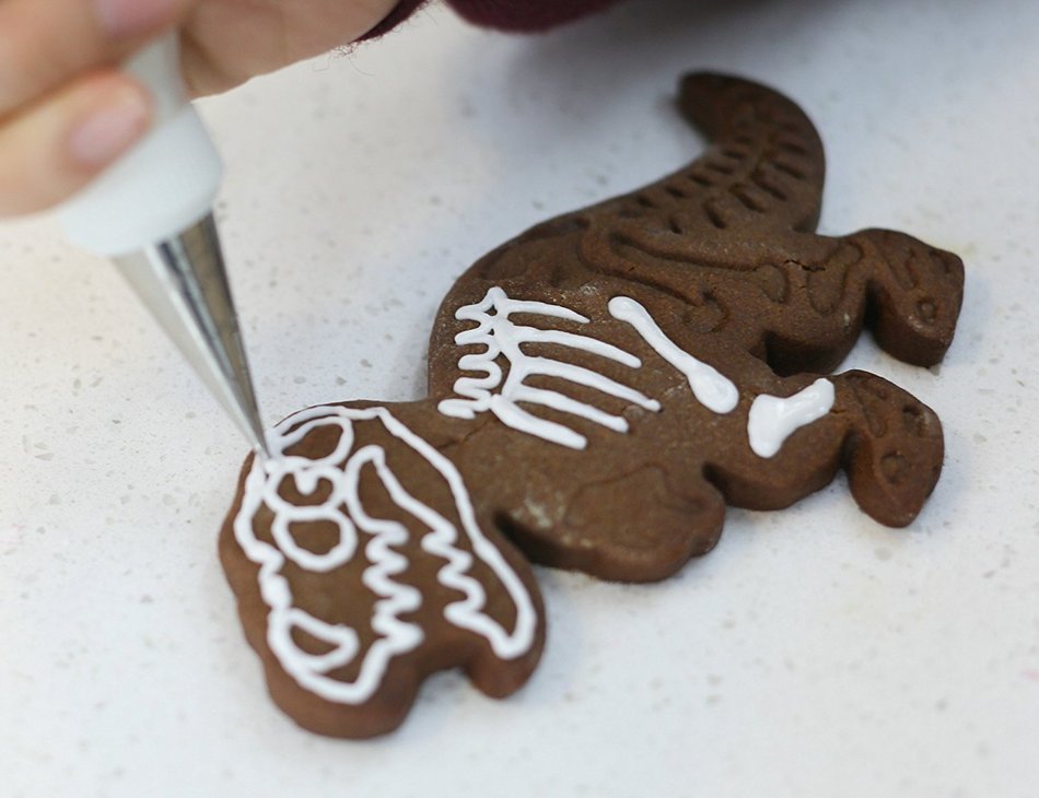 Wocuz 3 Dinosaur Bones Fossil Cookie Cutter/Stampers For Baby Shower Birthday Party N2