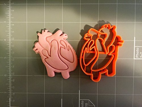 Heart Anatomy Cookie Cutter N2
