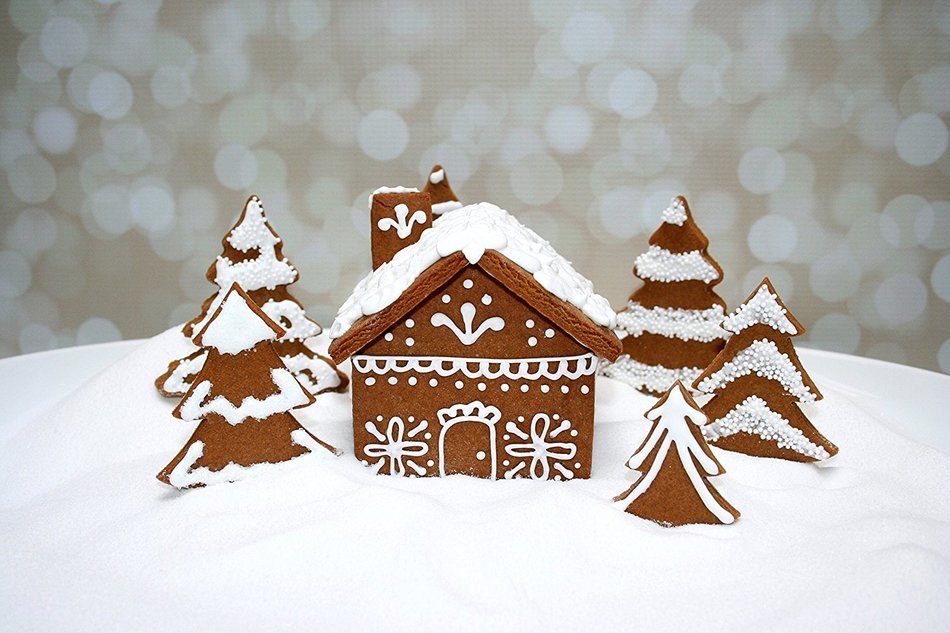 Small Gingerbread House Cutter N2