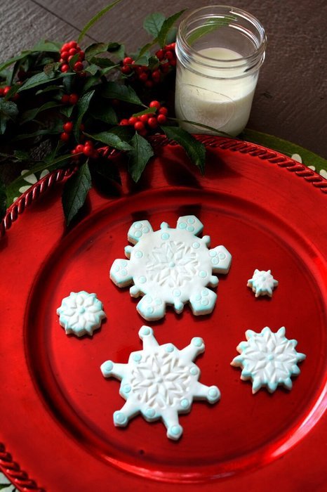 R & M Industries International Snowflake Shaped Plastic Biscuit Cookie Cutter Set (Set of 5), Multicolor N2