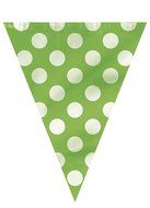Polka Dot Cupcake Kit for 24, Lime Green N12