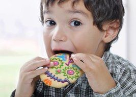 Fred &amp; Friends Sweet Spirits Cookie Cutters Day of the Dead Muertos Sugar Skull N2