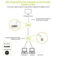 BlueRigger Mini DisplayPort (Thunderbolt) to DVI Female Adapter Cable N2