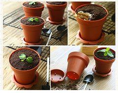 Astra shop 10 PCS Flower Potted Shape Jelly Cake Yogurt Mousse Cups with Lid and Shovel(caramel ) N4