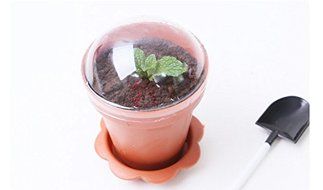 Astra shop 10 PCS Flower Potted Shape Jelly Cake Yogurt Mousse Cups with Lid and Shovel(caramel ) N5