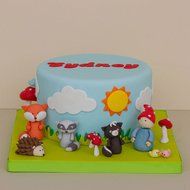 Sweet Elite Tools - Nature Cutter Set- Sun, Clouds, Grass, Fire - for rolled fondant, gumpaste or cookies - By... N2