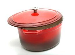 Guro Enameled Cast Iron Oval Dutch Oven Casserole, Red , 7.4QT N2