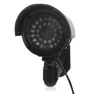 Ctronics Dummy Camera (CTCFD-010J) N25