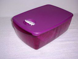 Tupperware Rectangular Rock N Serve 3 3/4qt. Rhubarb N2
