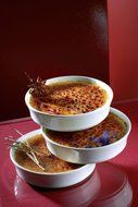 Revol Alexandrie T3814-1 8.5 Ounce Creme Brulee Dish