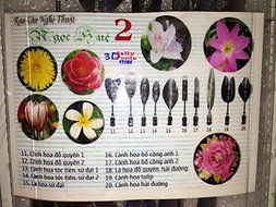 3d Gelatin Art Tools - Type 2 - 3d Jelly Cake Tools - 10 Pcs/set N3