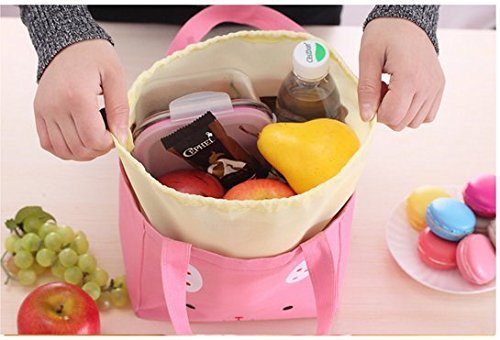 Maggie's Gift Cute Lunch Bag Tote Insulated Carry Bento Box for Travel and Picnic N5