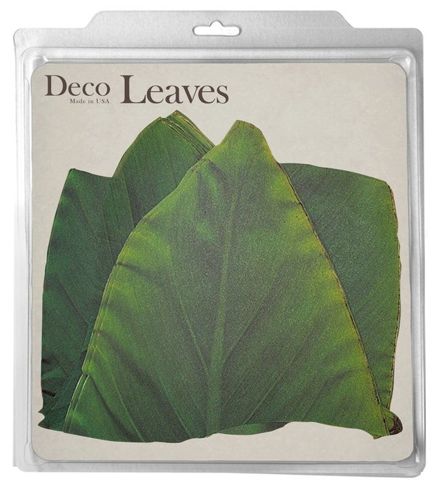 EuroQuest Imports Banana Deco Parchment Leaves, Package of 7