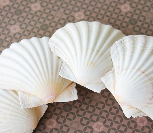 Irish Baking Scallops 3.5-4" | 4 pcs.