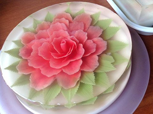 3D Jelly Tools specially -Type 10 - Poinsettia flower and 3 Bottle N4