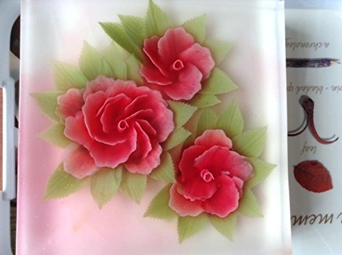 3D Jelly Tools specially -Type 10 - Poinsettia flower and 3 Bottle N5