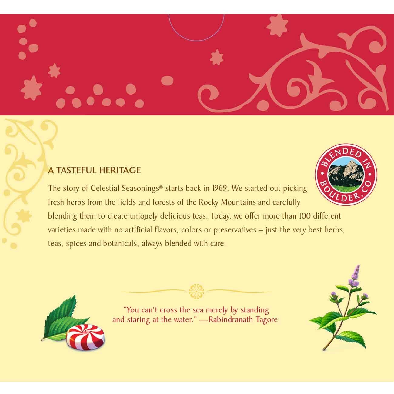 Celestial Seasonings Bengal Spice Herbal Tea, 20 Count (Pack of 6) N145