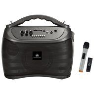 Audster AUD-M500K Portable Rechargeable 700W Speaker (Black)