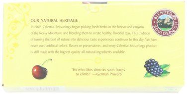 Celestial Seasonings Bengal Spice Herbal Tea, 20 Count (Pack of 6) N108