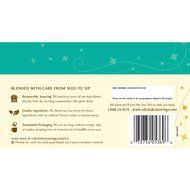 Celestial Seasonings Bengal Spice Herbal Tea, 20 Count (Pack of 6) N120